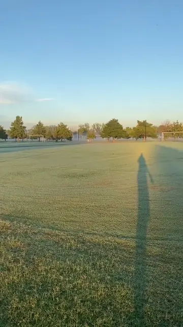 Fumigación contra mosquitos en áreas verdes de deportes